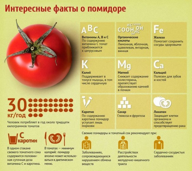Здоровье польза помидоров